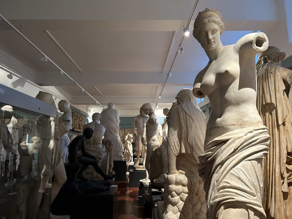 Oxford, Ashmolean Museum. Scorcio della Cast Gallery (gipsoteca).