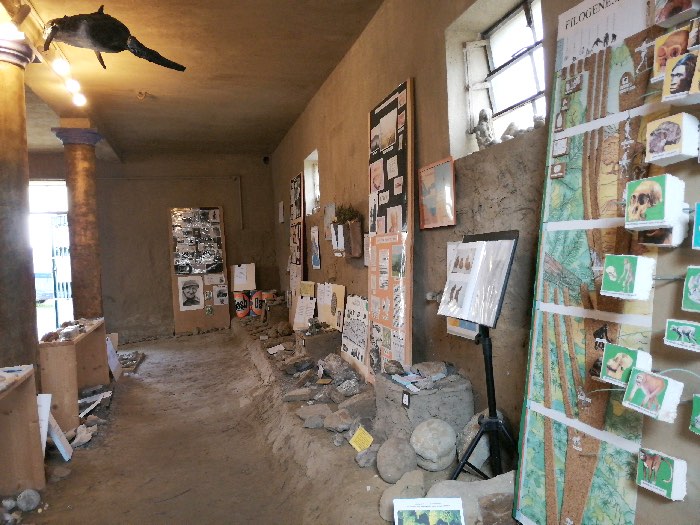 Museo dei Botroidi scorcio dell'interno. In primo piano, a destra, la parete su cui sono allestiti nuumerosi materiali didattici.