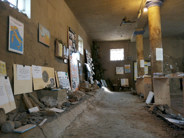 Museo dei Botroidi scorcio dell'interno. In primo piano, a destra, la parete su cui sono allestiti nuumerosi materiali didattici.